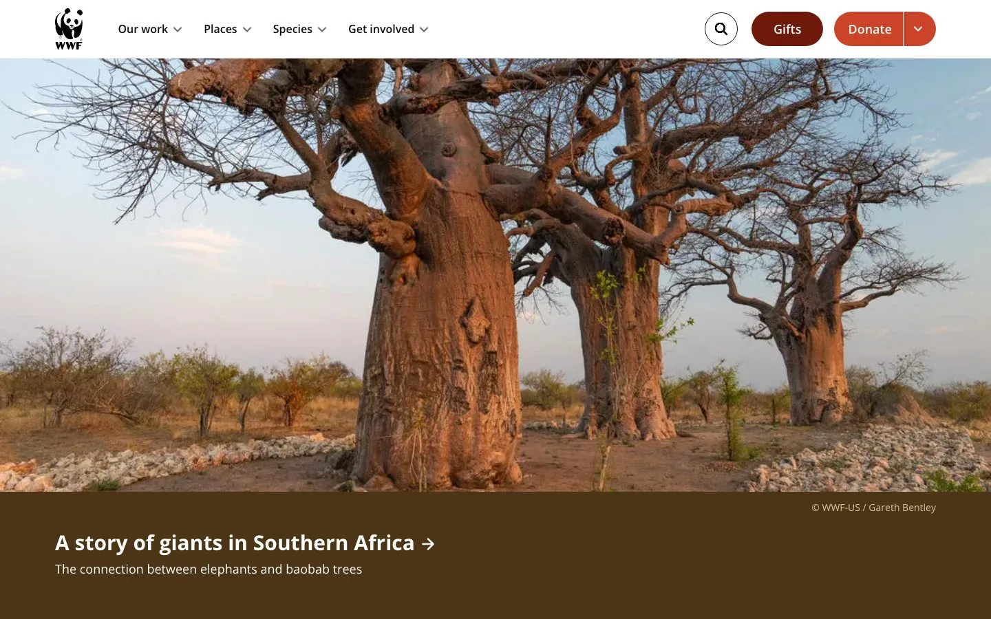 World Wildlife Fund homepage at 1440x900, captured 2026-10-06